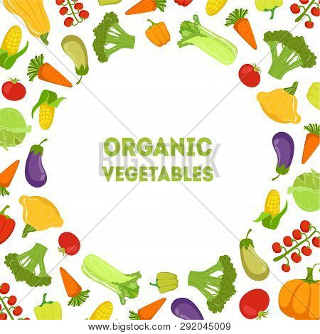 Organic Vegetables, Farm Fresh Colorful Products With Space For Text Vector Illustration