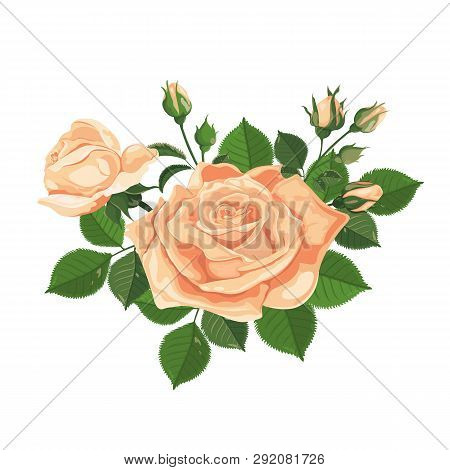 Watercolor Illustration Of Yellow Roses. Roses, Buds, Leaves And Flowers Isolated On White.