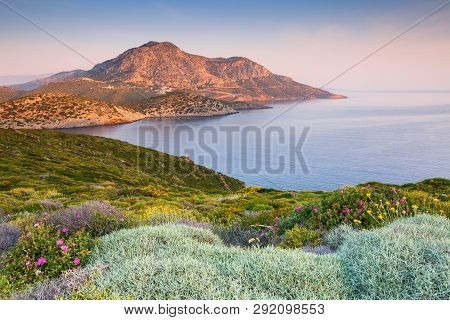 Spring Flowers On Fourni Island And View Of Thymaina Island Early In The Morning, Greece.