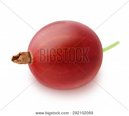 Red Single Gooseberry Isolated On A White Background.