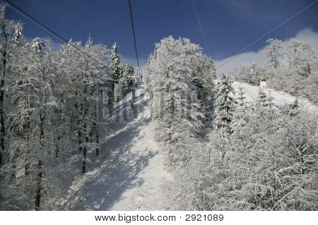 Arbres enneigés avec ascenseur entre eux