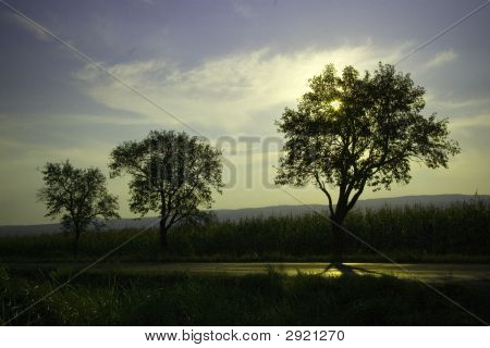 Coucher de soleil derrière les arbres