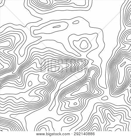 Topographic Map Background. Geographic World Topography Map Grid Abstract Vector Illustration. Topo 