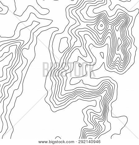 Topographic Map Background. Geographic World Topography Map Grid Abstract Vector Illustration. Topo 