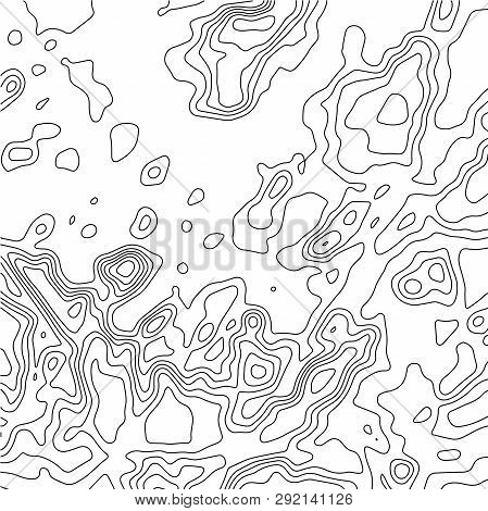 Topographic Map Background. Geographic World Topography Map Grid Abstract Vector Illustration. Topo 