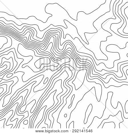 Topographic Map Background. Geographic World Topography Map Grid Abstract Vector Illustration. Topo 