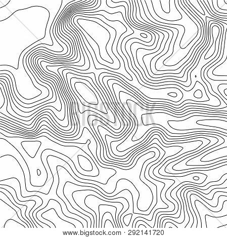 Topographic Map Background. Geographic World Topography Map Grid Abstract Vector Illustration. Topo 