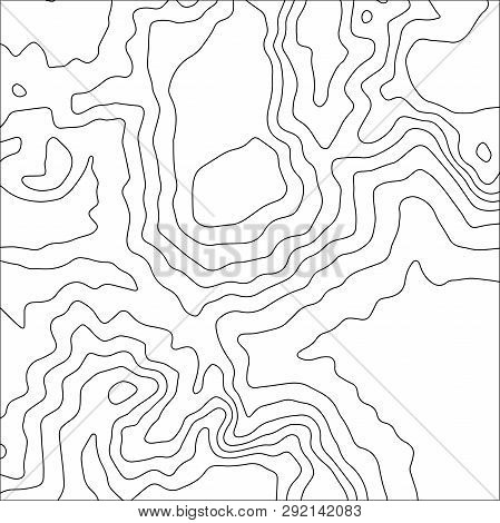 Topographic Map Background. Geographic World Topography Map Grid Abstract Vector Illustration. Topo 