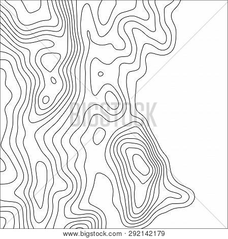 Topographic Map Background. Geographic World Topography Map Grid Abstract Vector Illustration. Topo 