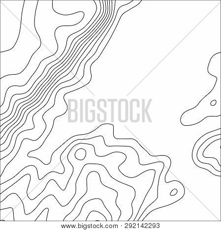 Topographic Map Background. Geographic World Topography Map Grid Abstract Vector Illustration. Topo 
