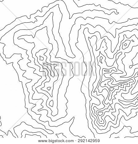 Topographic Map Background. Geographic World Topography Map Grid Abstract Vector Illustration. Topo 