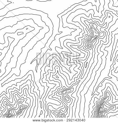 Topographic Map Background. Geographic World Topography Map Grid Abstract Vector Illustration. Topo 
