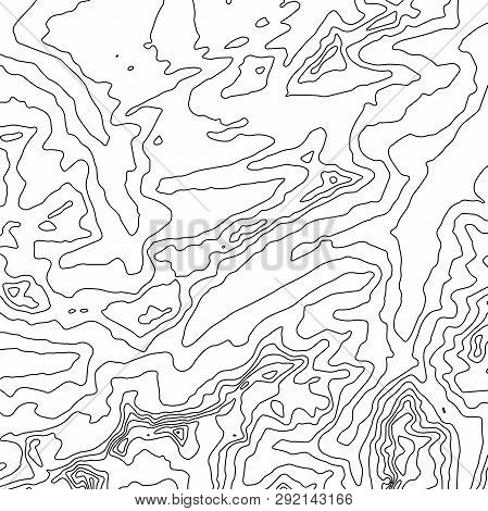 Topographic Map Background. Geographic World Topography Map Grid Abstract Vector Illustration. Topo 