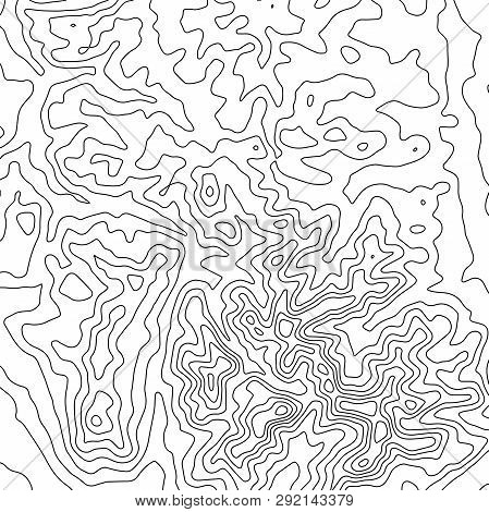 Topographic Map Background. Geographic World Topography Map Grid Abstract Vector Illustration. Topo 
