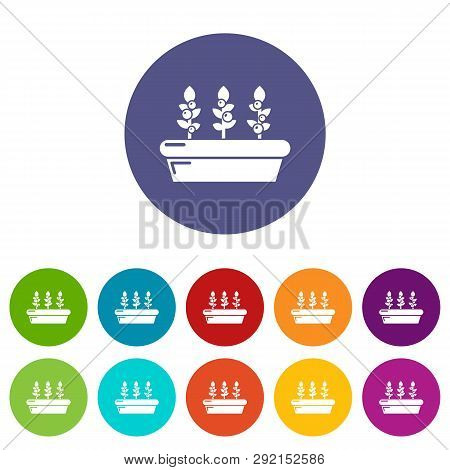 Outdoor Potted Plants Icons Color Set For Any Web Design On White Background