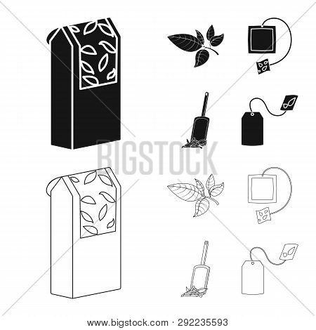Vector Design Of Healthy And Floral  Symbol. Set Of Healthy And Gradient Vector Icon For Stock.