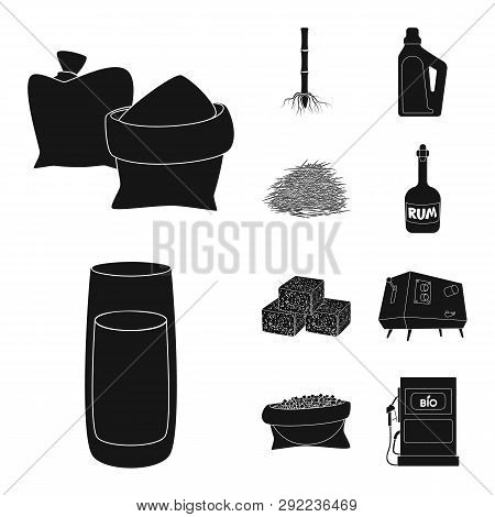 Vector Illustration Of Sucrose And Technology Symbol. Collection Of Sucrose And Cane Vector Icon For