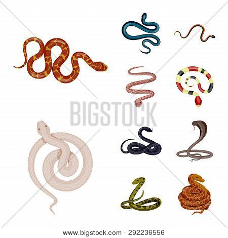 Vector Design Of Poison And Evil Logo. Set Of Poison And Bite Stock Symbol For Web.