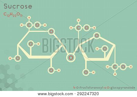 Large And Detailed Infographic Of The Molecule Of Sucrose.
