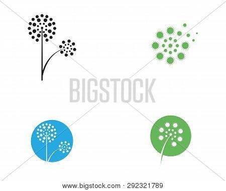 Dandelion Flower Logo Vector Template  Vector