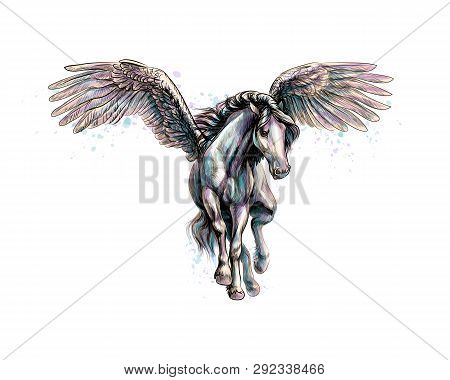 Pegasus Mythical Winged Horse From Splash Of Watercolors. Hand Drawn Sketch. Vector Illustration Of 