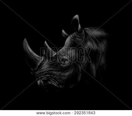 Portrait Of A Rhinoceros Head On A Black Background. Vector Illustration