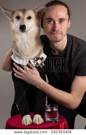 Studio Portrait Of Middle Size Dog Wearing School Uniform Dress, Looking At The Camera. Mongrel Is S