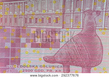 Croatian Kuna Or Sto Kuna Money Currency Closeup. Selective Focus And Crop Fragment