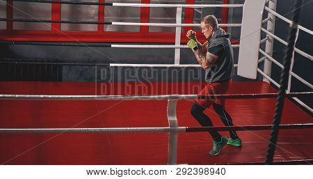 Training His Boxing Skills. Muscular Tattooed Boxer In Sports Clothing Punching On Red Boxing Ring W