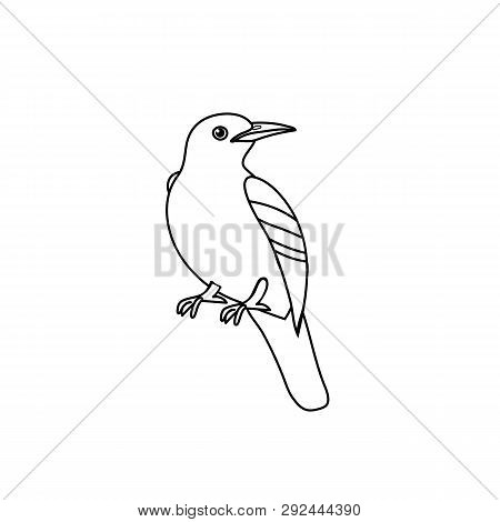 Vector Line Cartoon Animal Clip Art Iora Bird