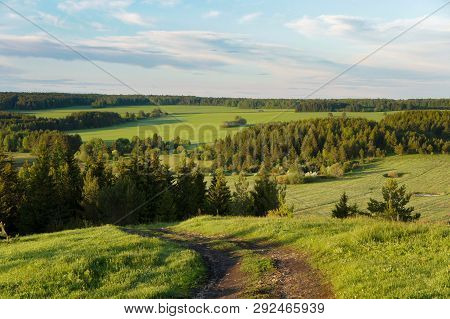 Field Of Grass And Perfect Sky. Nature.