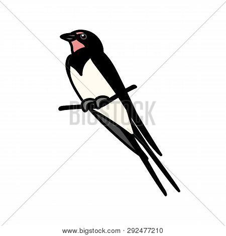 Vector Scandi Cartoon Animal Clip Art Swallow Bird