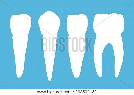 Set Of Different Molar Teeth On Blue Background. Vector Illustration.