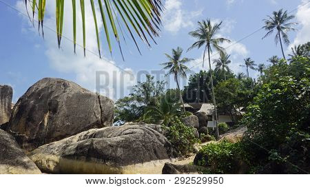 Tropical Coral Beach On Koh Samui