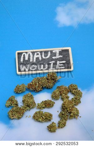 Marijuana. Cannabis. Recreational and Medical Marijuana Buds. Blue sky background with a small chalk board sign. Room for text. 