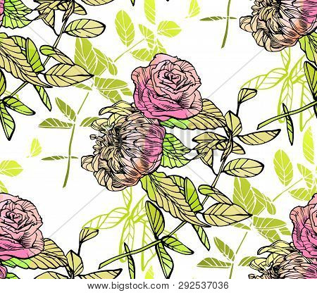 Floral Seamless Pattern. Hand Drawn Illustration. Fullsize Raster Atrwork.