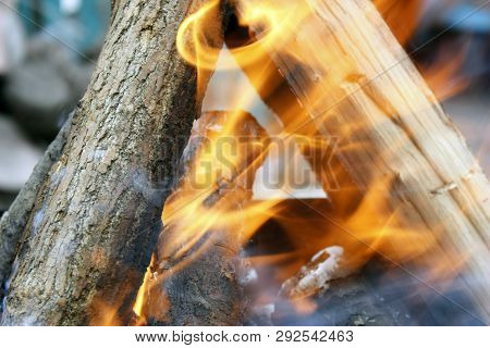 Burning Tree In The Grill. Bonfire On The Grill With Smoke. Arson Or Natural Disaster. Bonfire Close