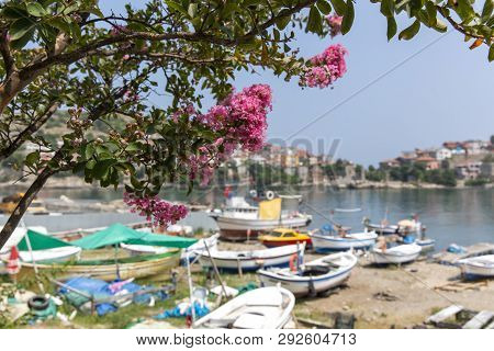 Spring In Amasra And Colorful New Blooming Flowers