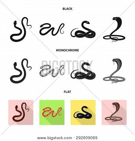 Vector Design Of Mammal And Danger Sign. Collection Of Mammal And Medicine Stock Vector Illustration