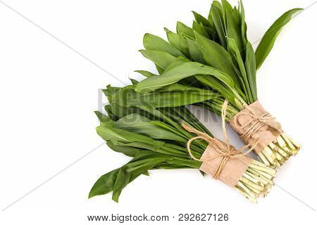 Two Beams Of Ramson Wild Garlic On A White Background