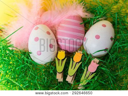Multi-colored Easter Eggs With Feathers With Green Grass On A Yellow Background.