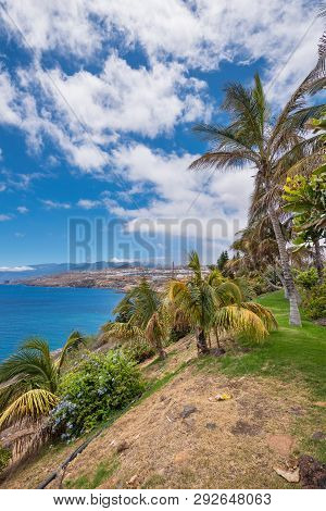 Santa Cruz De Tenerife Coastline Viewed From Palmetum Park,  Canary Islands, Spain.