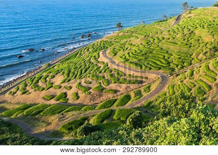 Senmaida Rice Paddy Terrace Wajima Ishikawa Japan