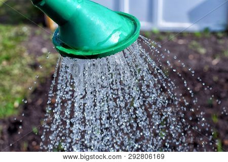 Watering Plants At The Garden With A Lot Of Dribs Spray
