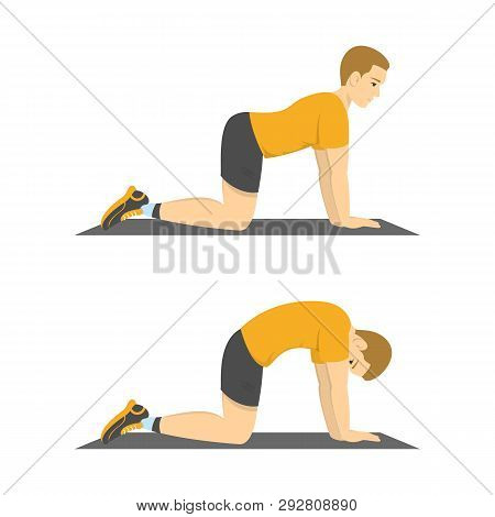 Man Doing Cat Cow Exercise. Back Stretch