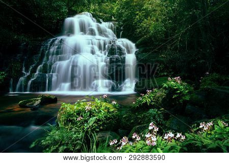 Tropical Forest Jungle River Stream Waterfall Mountain Landscape Nature Plant And Pink Habenaria Rho