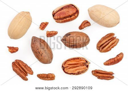 Pecan Nut Isolated On White Background. Top View. Flat Lay