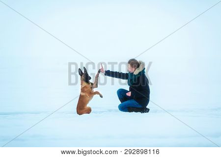 A Women And Belgian Shepherd Dog In Winter. Snowing Background. Winter Forest