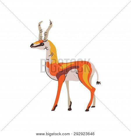 Antelope Gnu Wild Exotic African Animal Vector Illustration