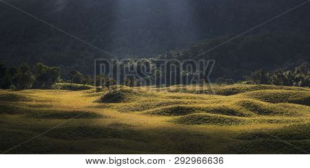 Amazing Ray Of Light In The Savanna Of Mount Rinjani, Indonesia.